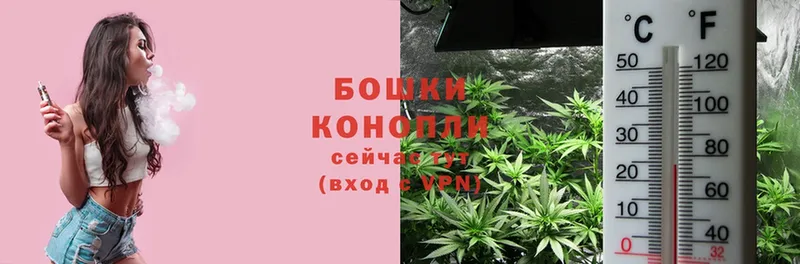 blacksprut как войти  Вилюйск  площадка телеграм  купить наркотики сайты  МАРИХУАНА сатива 